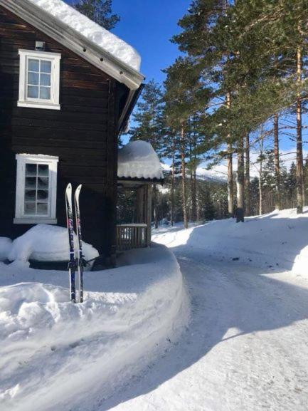 בו Breiva Gjestegaard Og Glamping מראה חיצוני תמונה